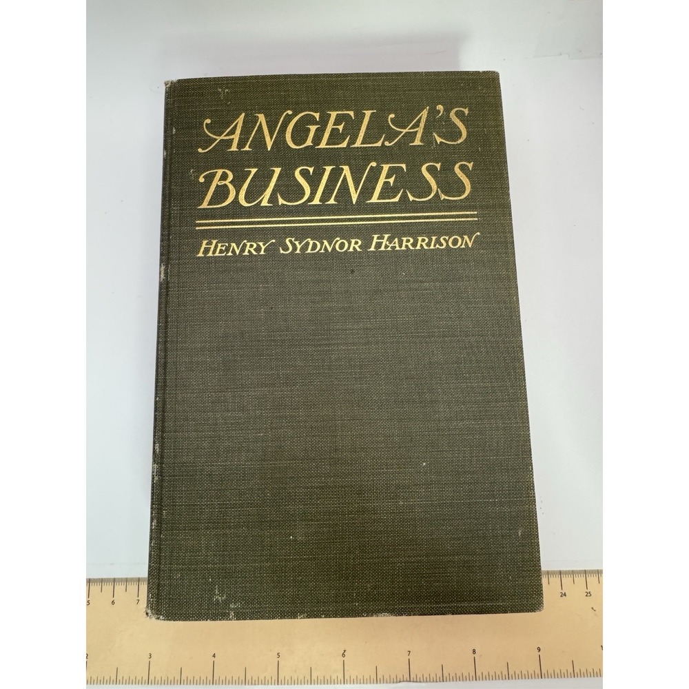 Angela's Business Henry Sydnor Harrison illustrator Frederic Gruger  1915 HC